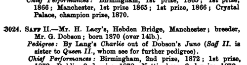 Owners and Breeders of Pedigree Deerhounds (1874)