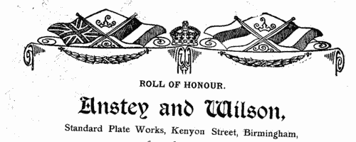 Workers from Anstey & Wilson, of Standard Plate Works, Kenyon Street, Birmingham, who fought in the Great War
 (1919)