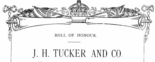 Workers from J H Tucker & Co of King's Road, Hay Mills, Birmingham, who fought in the Great War
 (1919)