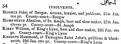 Insolvents in England and Wales
 (1851)