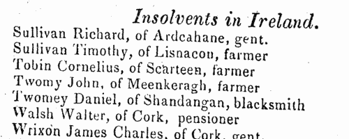 Irish Insolvents
 (1840)