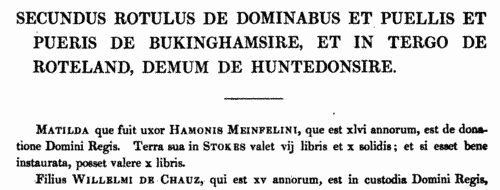 Donzels, damsels and widows in eastern England
 (1185)