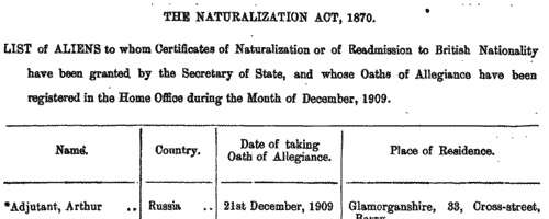 Naturalizations (1910)