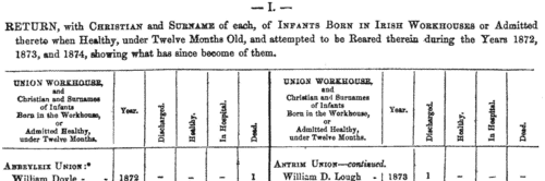 Infants in Abbeyleix Workhouse
 (1872)