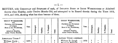 Infants in Antrim Workhouse
 (1873)