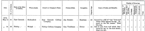 Mining Fatalities: Cornwall, Devon, Dorset &c.
 (1875)