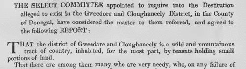 Destitution in Donegal (1858)